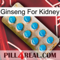 Ginseng For Kidney new09